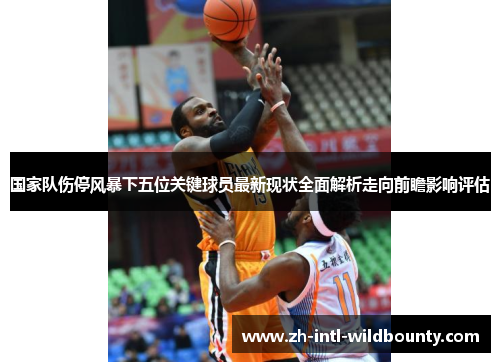 国家队伤停风暴下五位关键球员最新现状全面解析走向前瞻影响评估