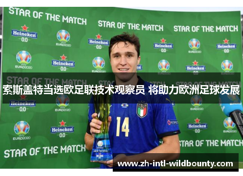 索斯盖特当选欧足联技术观察员 将助力欧洲足球发展